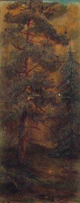 Tree at Sunset by Andrei Afanasyevich Jegorov.
