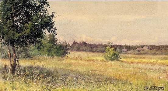 Flower Field by Vladimir Ivanovich Beyer / Beier.
