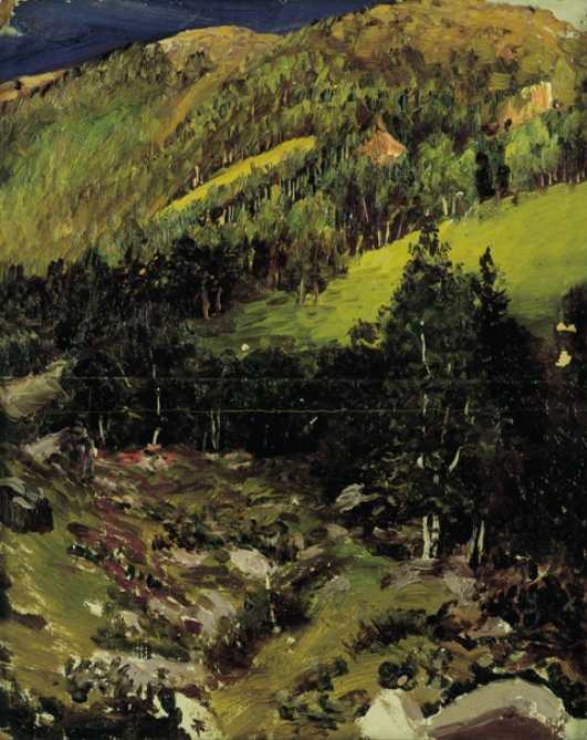  by Nikolai Nikanorovich Dubovskoy, 1893.