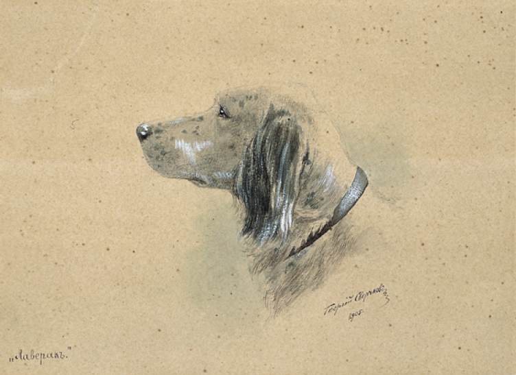 The Laverack Dog by Georgy Nikolaevich Sverchkov / Sverchkoff, 1905.
