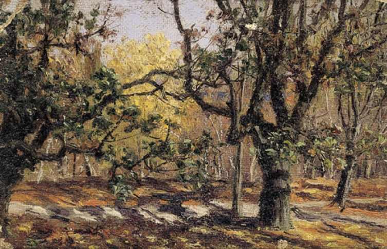 Herbst. Obstgarten in der Ukraine von Nikolai Alexandrovich Sergeyev.