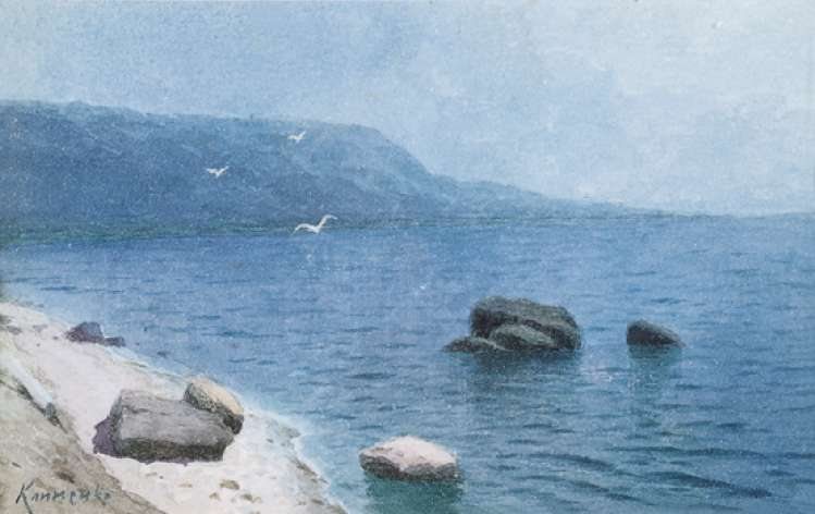 Möwen von Wiktor Iwanowitsch Klimenko.