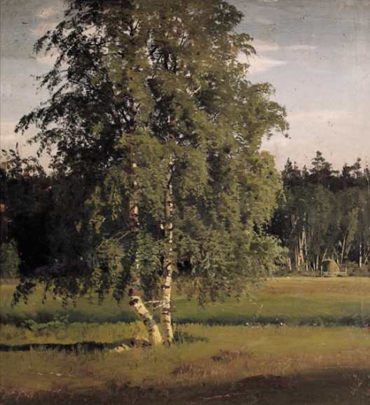 Zwei Birken von Nikolai Nikanorowitsch Dubowskoi.
